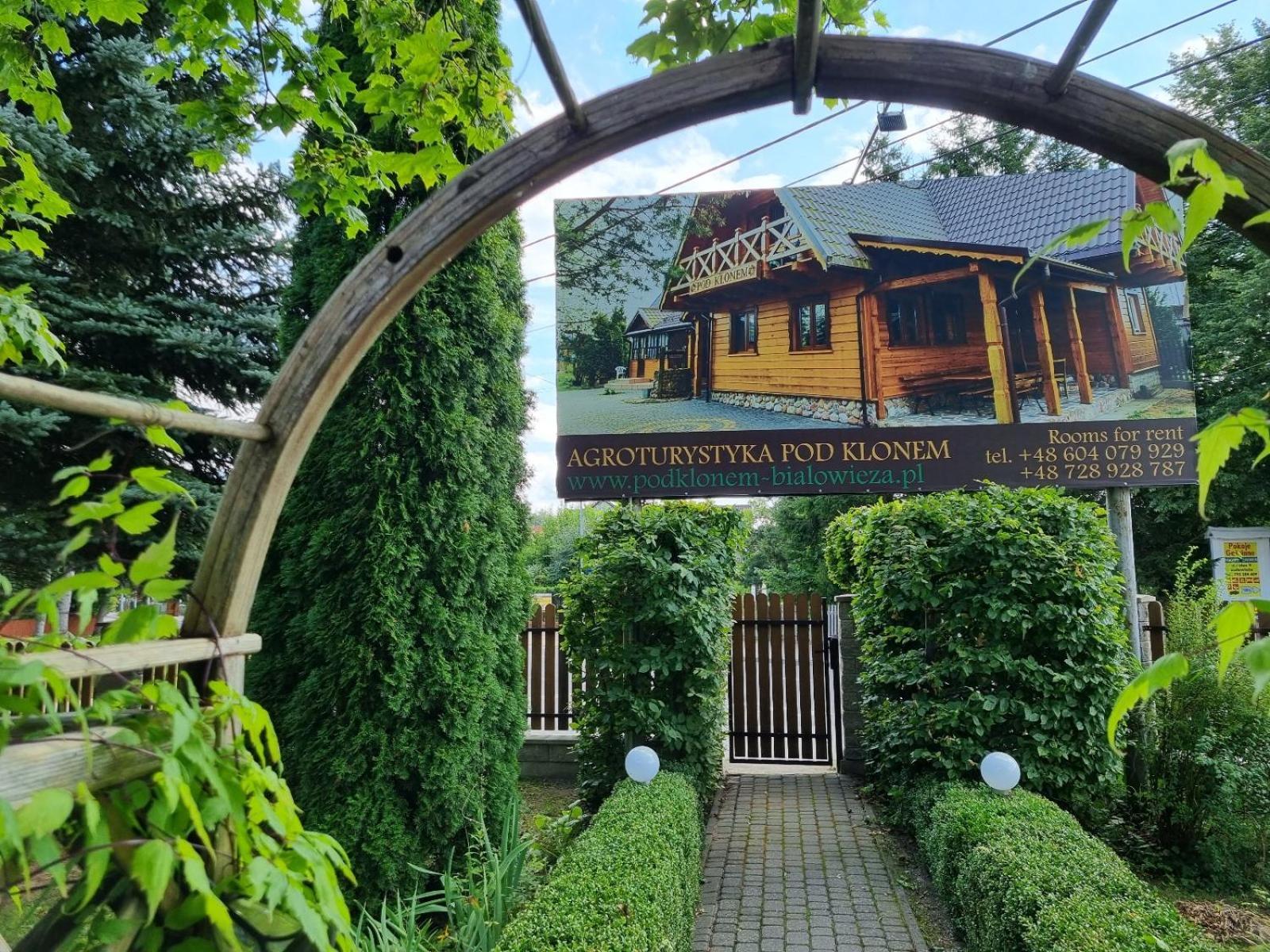 Domek Pod Klonem Agroturystyka Беловеж Экстерьер фото